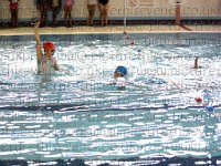 Large Pool Widths 8